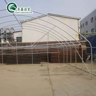 Single-Span Agricultural Greenhouses with Film Cover The Perfect Growing Environment