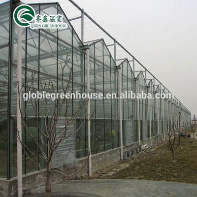 Aluminum Greenhouse Frame Parts Suitable for Multi-Span Agricultural Greenhouses