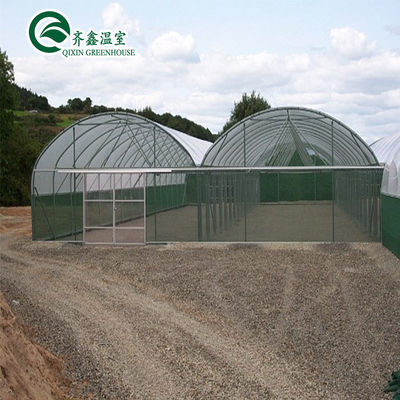 Large Double Layer Chicken Farm Multi-Span Film Greenhouse Customizable Size