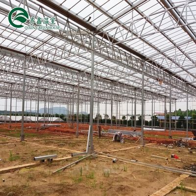 Transparent Polythene Tunnel Greenhouse for Growing Vegetables AGRICULTURE Instruction