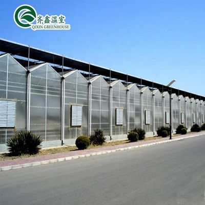Transparent Polythene Tunnel Greenhouse for Growing Vegetables AGRICULTURE Instruction
