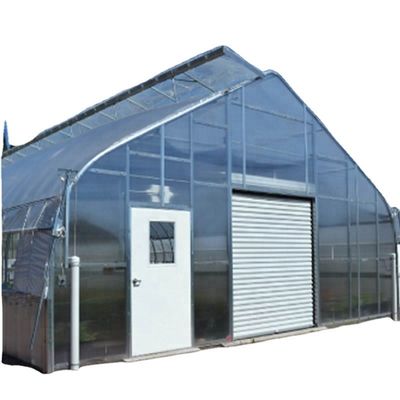 Vegetable Fruits Flowers Mushroom House for Eco-friendly Growing