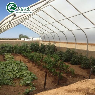 Vegetable Fruits Flowers Mushroom House for Eco-friendly Growing