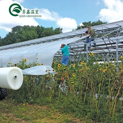 Vegetable Fruits Flowers Mushroom House for Eco-friendly Growing