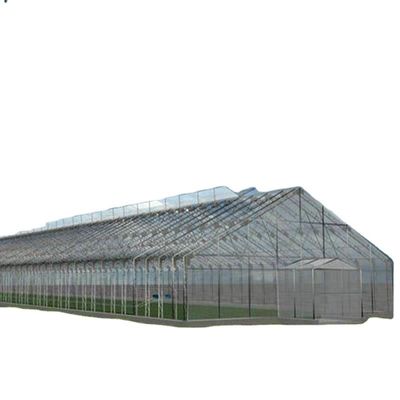 Vegetable Fruits Flowers Mushroom House for Eco-friendly Growing