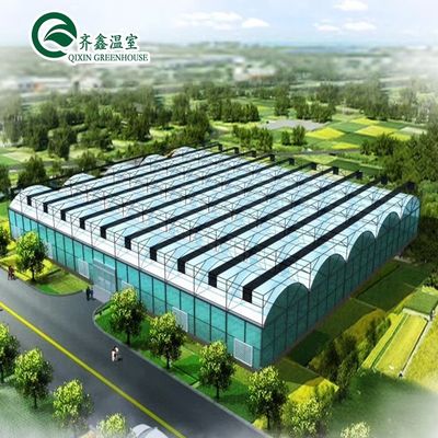PC Sheet Cover Material Multi-Span Agricultural Greenhouse for Vegetable Growing