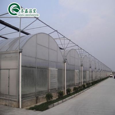 PC Sheet Cover Material Multi-Span Agricultural Greenhouse for Vegetable Growing