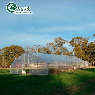 Hot Galvanized Aluminum Steel Structure Cooling Greenhouse for Growing Lettuce