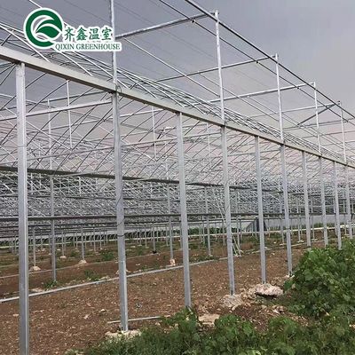PC Sheet Cover Material Multi-Span Agricultural Greenhouse for Vegetable Growing