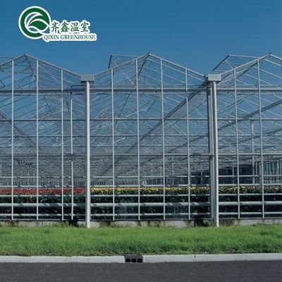 Galvanized Steel Structure Venlo Glass Greenhouse for Growing Vegetable Fruits Flowers