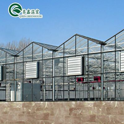Galvanized Steel Structure Venlo Glass Greenhouse for Growing Vegetable Fruits Flowers
