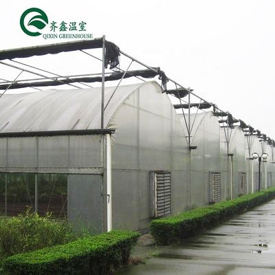 PC Sheet Cover Material Multi-Span Agricultural Greenhouse for Vegetable Growing