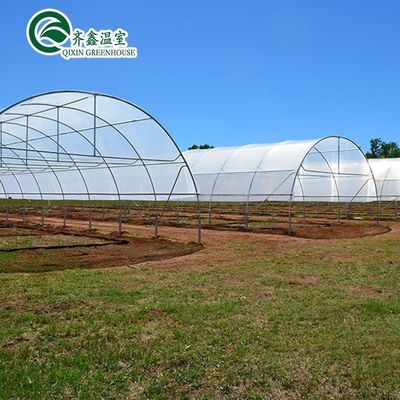 Hot Galvanized Aluminum Steel Structure Cooling Greenhouse for Growing Lettuce