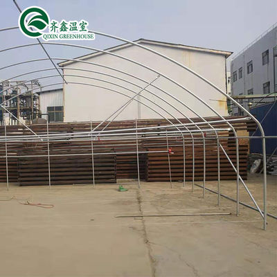 Hot Galvanized Aluminum Steel Structure Cooling Greenhouse for Growing Lettuce