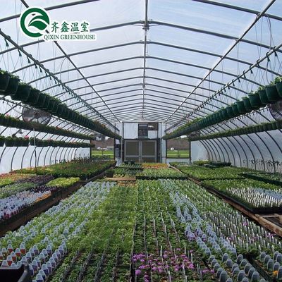 Single Span Greenhouse Mushroom Growing Equipment Covered with Transparent Plastic Film