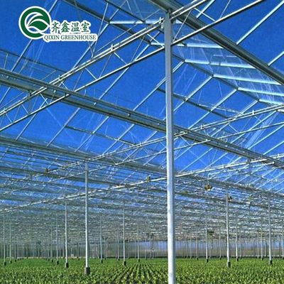 Good Light Permeability Essential for Venlo Glass Greenhouse in Agricultural Industry