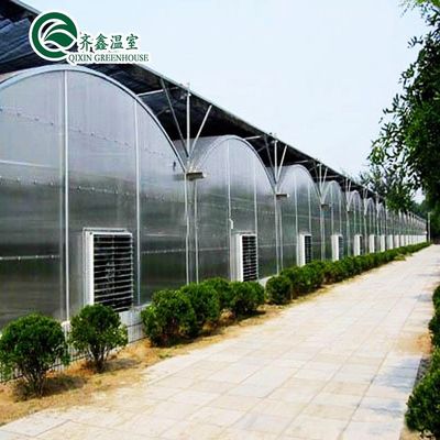 Large Steel Greenhouse Structure Shed Design With 150/200micro PE Film Covering