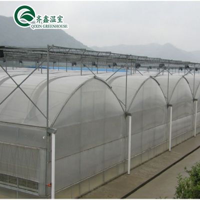 Large Steel Greenhouse Structure Shed Design With 150/200micro PE Film Covering