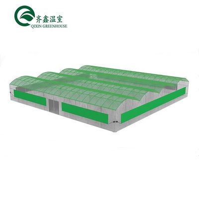 Large Steel Greenhouse Structure Shed Design With 150/200micro PE Film Covering