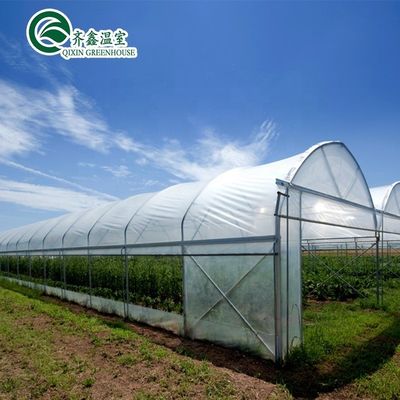 Small Garden Greenhouses With Double Layer And Automatic Control Box