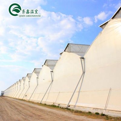 Greenhouse Aquaponics Hydroponic Growing System with Cooling and Ventilation Options