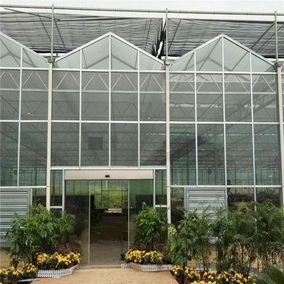 Large Venlo Glass Greenhouse Perfect Fit For Plant Growth Needs