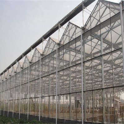 Large Venlo Glass Greenhouse Perfect Fit For Plant Growth Needs
