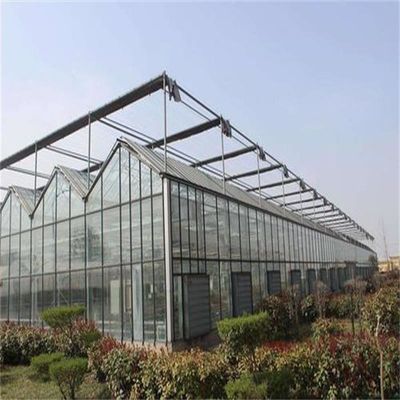 Large Venlo Glass Greenhouse Perfect Fit For Plant Growth Needs