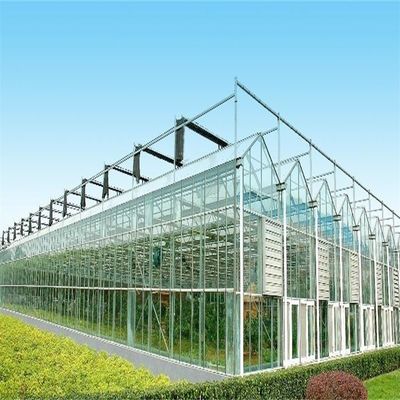 Large Venlo Glass Greenhouse Perfect Fit For Plant Growth Needs