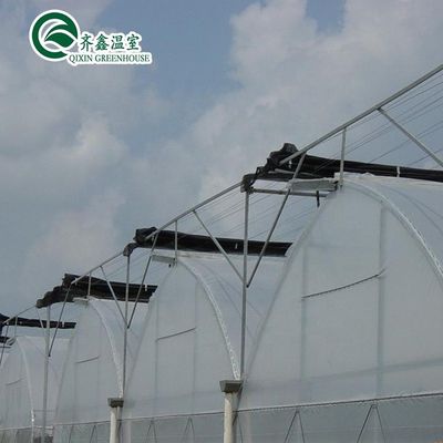 South Korea Agricultural Greenhouse with Ebb Flow Rolling Bench and Inside Shading System