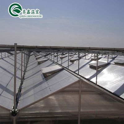 3.8m-9.8m Ridge Height Glass Solar Greenhouse for Customer Requirements