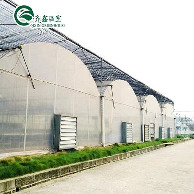 South Korea Agricultural Greenhouse with Ebb Flow Rolling Bench and Inside Shading System