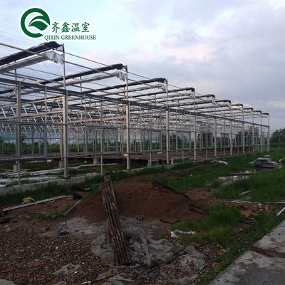 Large Glass Covered Garden Greenhouses for Versatile Planting Options