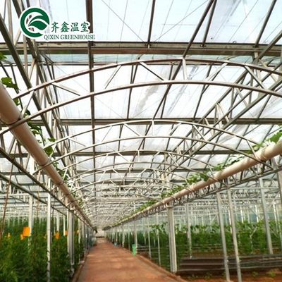 PE Grow Bags and Automatic Control System Ideal for South Korea Agricultural Greenhouse