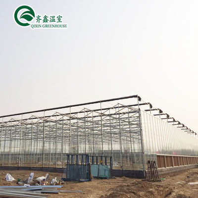 Large Glass Covered Garden Greenhouses for Versatile Planting Options