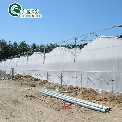 PE Grow Bags and Automatic Control System Ideal for South Korea Agricultural Greenhouse