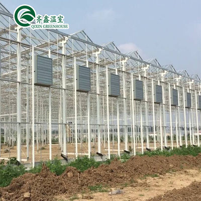 Large Glass Covered Garden Greenhouses for Versatile Planting Options
