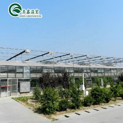 Customized Canada Tunnel Greenhouse Garden Tunnel with Glass or PC Sheet