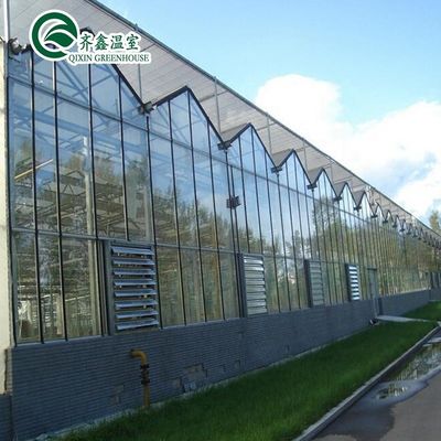 Customized Canada Tunnel Greenhouse Garden Tunnel with Glass or PC Sheet