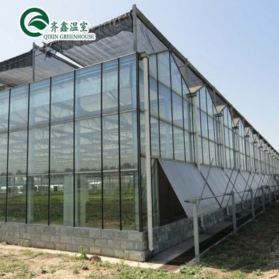 Customized Canada Tunnel Greenhouse Garden Tunnel with Glass or PC Sheet