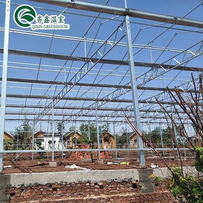 Venlo Galvanized Steel Pipe Greenhouse with Tower Garden and Optimal Shading System