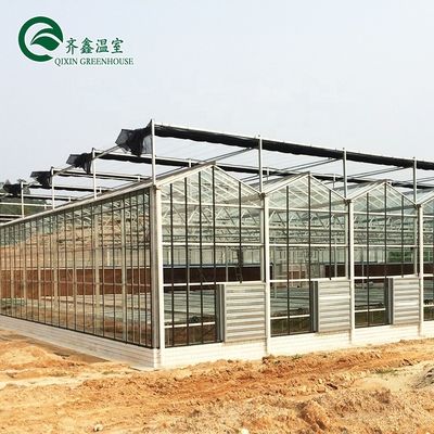 Venlo Galvanized Steel Pipe Greenhouse with Tower Garden and Optimal Shading System