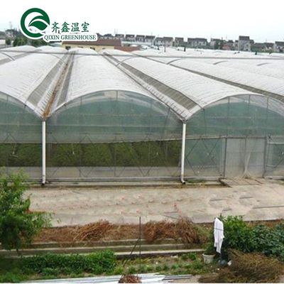 30 x 100 Vegetable Growing Film Covered Multi-span Arch Greenhouse with PO Cover