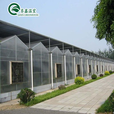 Polycarbonate Sheet Covering Transparent Solar Panels for Greenhouses in High Demand