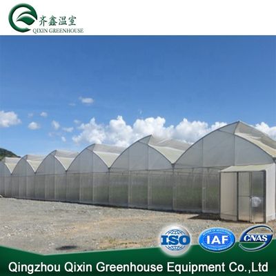 30 x 100 Vegetable Growing Film Covered Multi-span Arch Greenhouse with PO Cover