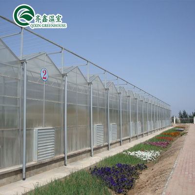 Polycarbonate Sheet Covering Transparent Solar Panels for Greenhouses in High Demand