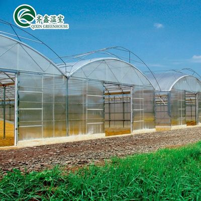 Double Layer PO Greenhouse Tunnel for Precise Temperature Control