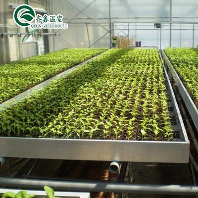 Double Layer PO Greenhouse Tunnel for Precise Temperature Control
