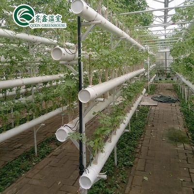 Multi-Span Agricultural Greenhouses Double Layer Vertical Hydroponic System Upgrade