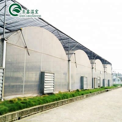 Multi-Span Agricultural Greenhouses Double Layer Vertical Hydroponic System Upgrade